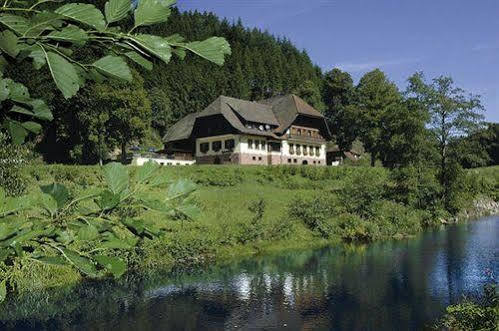 Hotel Restaurant Ochsenwirtshof Bad Rippoldsau-Schapbach Екстер'єр фото